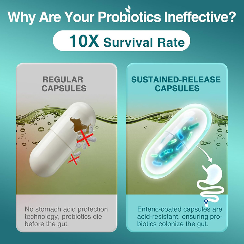 소화 건강을 위한 프로바이오틱스, 120억 CFU 함유 - Probiotic 60 Billion 리뷰 및 가격