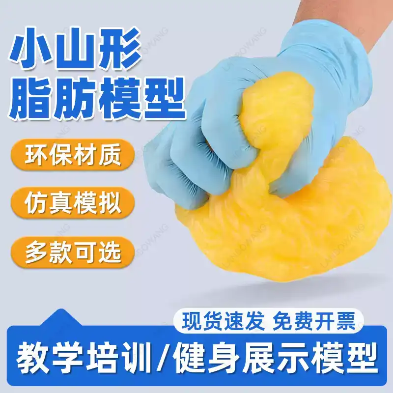 인간 근육 및 지방 모형, 건강 체중 감량 영양 교육  - Nutrition For Health Fitness & Sport Melvin Williams 리뷰 및 가격