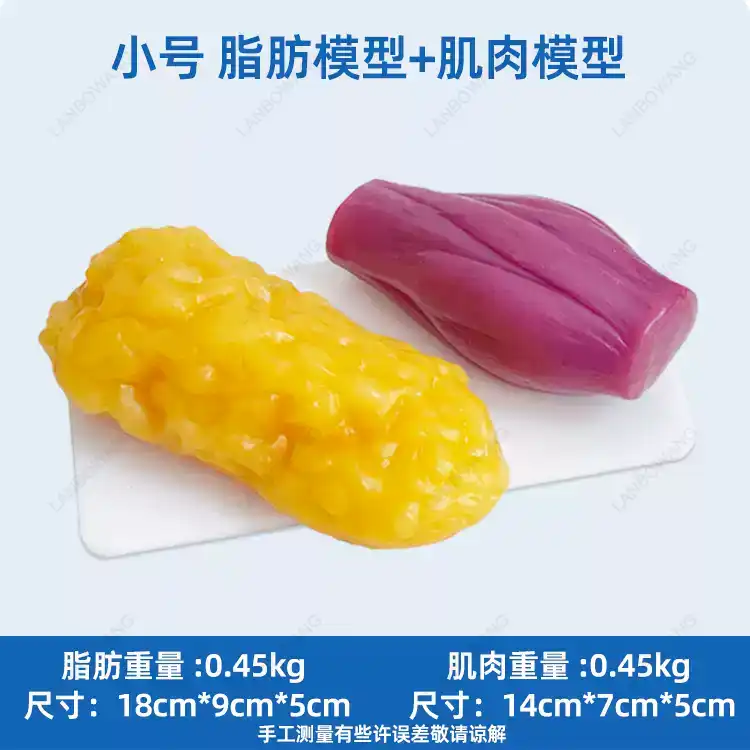 인간 근육 및 지방 모형, 건강 체중 감량 영양 교육  - Nutrition For Health Fitness & Sport Melvin Williams 리뷰 및 가격